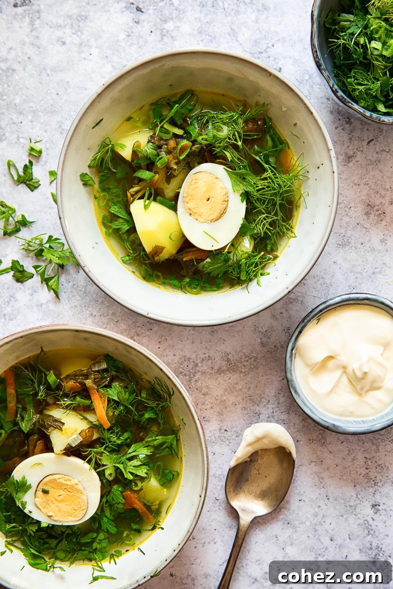 Two cozy grey bowls brimming with vibrant green sorrel soup, garnished generously with fresh herbs and a halved hard-boiled egg, set on a stylish grey background.