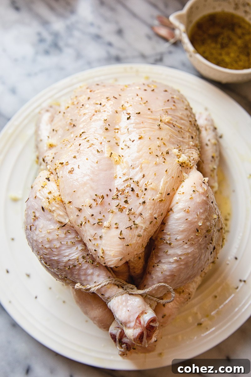 Raw whole chicken covered generously in a homemade Greek marinade, ready for air frying.