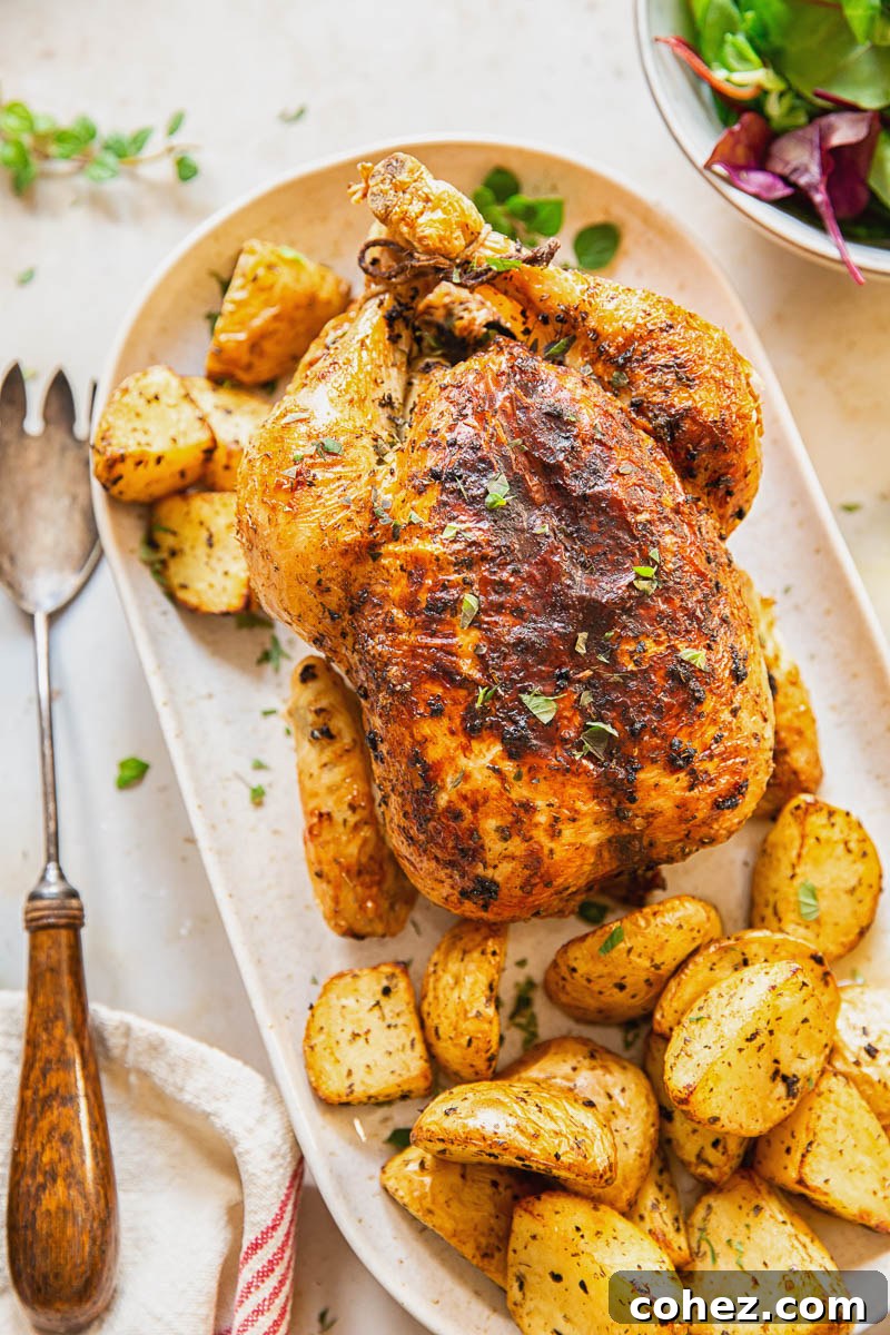 top down view of roast chicken and potatoes