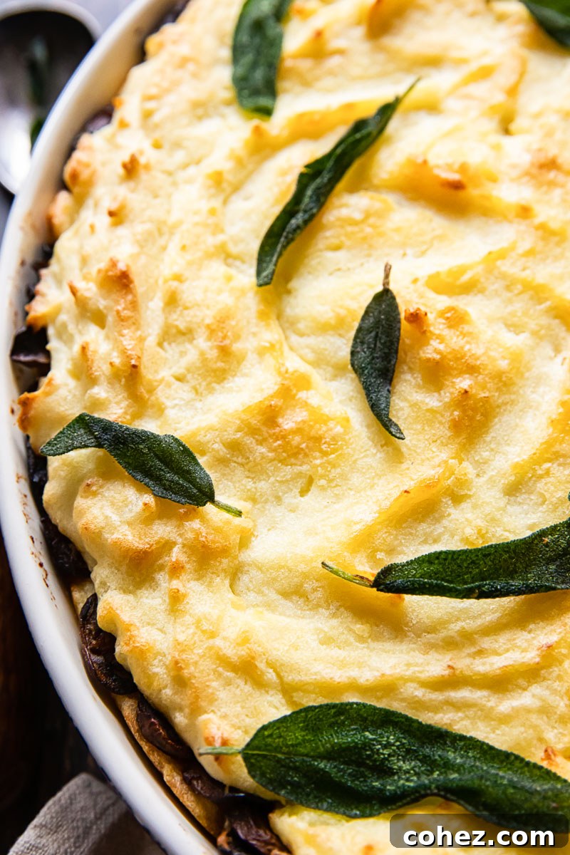 Closeup of baked mashed potatoes casserole, showing crispy top and creamy interior
