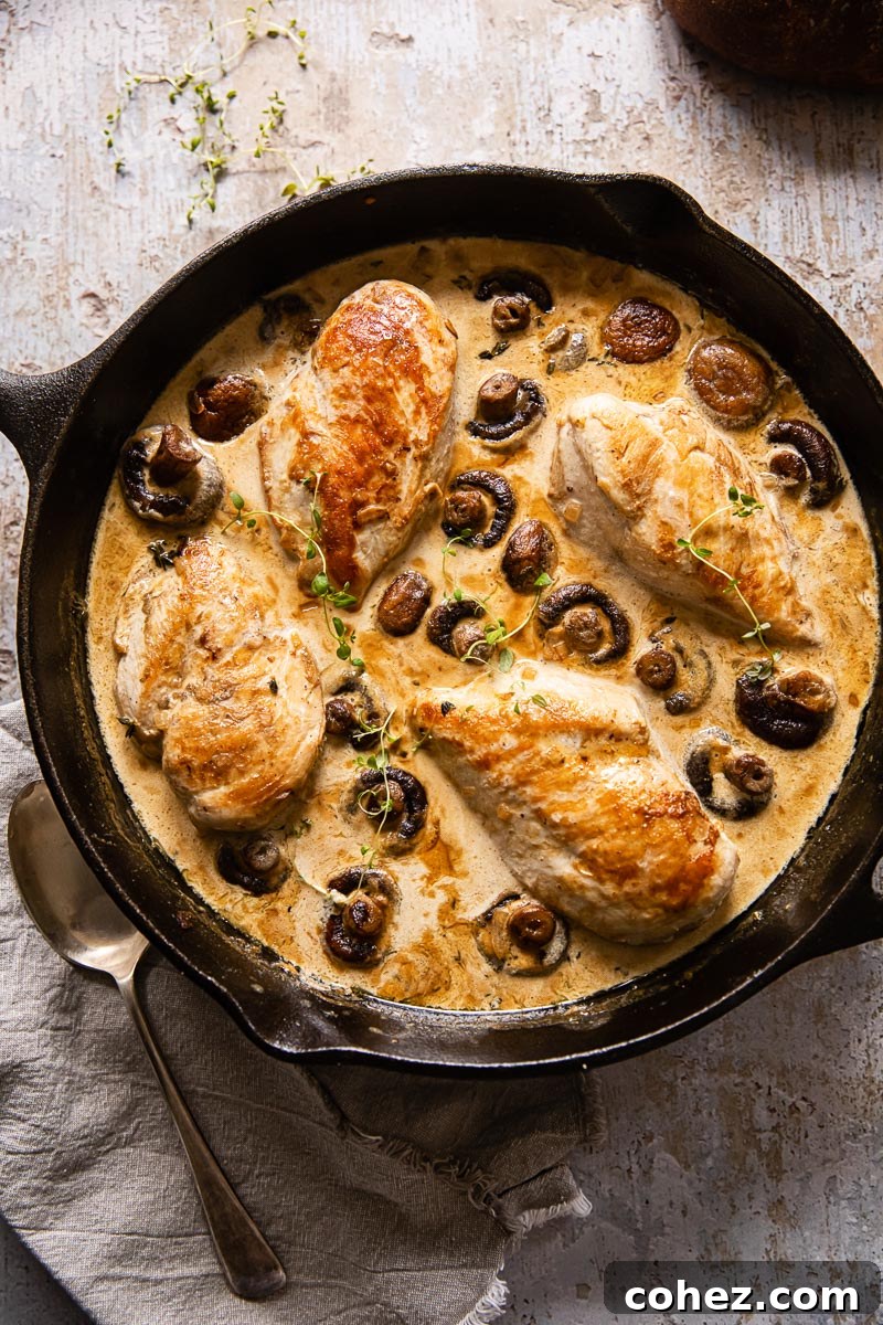 Supreme Chicken with Velvety White Wine Mushroom Sauce 4 An overhead shot of a cast iron skillet filled with golden chicken supreme, whole mushrooms, and creamy white wine sauce, ready to be served.