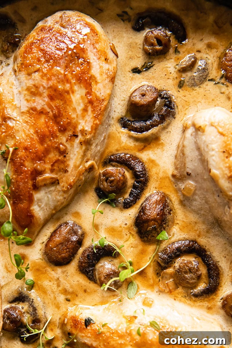 Supreme Chicken with Velvety White Wine Mushroom Sauce 6 A close-up of a single serving of chicken supreme with mushrooms and cream sauce, garnished with fresh parsley.