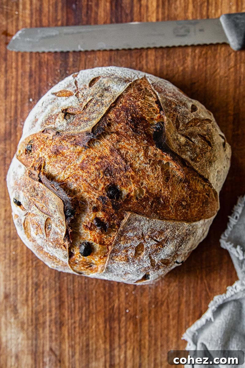 Top down view of a rustic walnut and raisin sourdough bread loaf, golden brown and enticing.