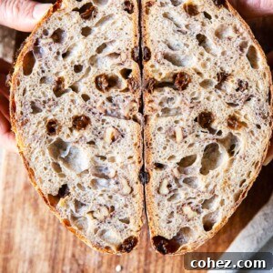 walnut and raisin bread cut in half