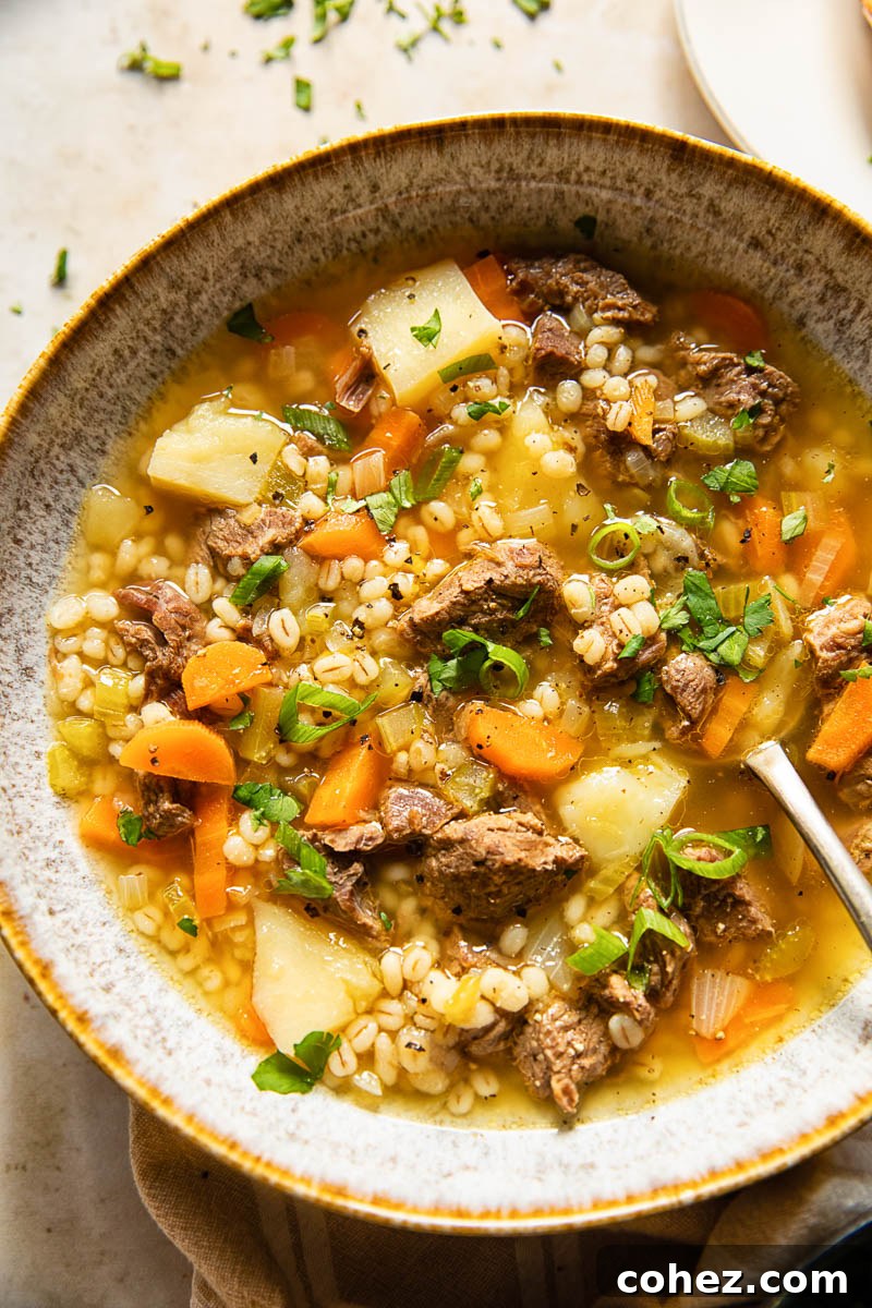 Beef Barley Soup sprinkled with fresh herbs and vibrant green onions