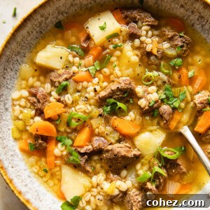 Hearty Beef and Barley Soup 6 Beef Barley Soup sprinkled with herbs and green onions