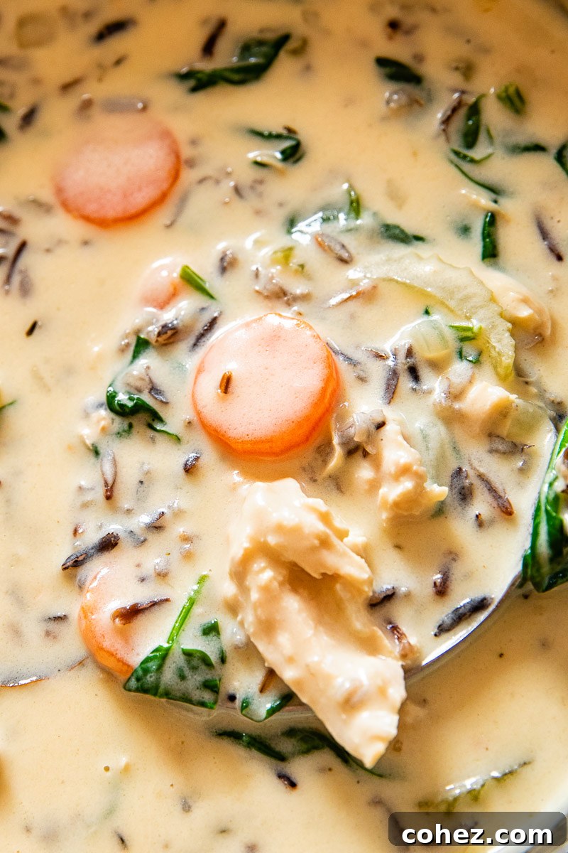 Golden Chicken Wild Rice Velvety Bliss 5 close-up of creamy chicken wild rice soup with visible chicken chunks and vegetables