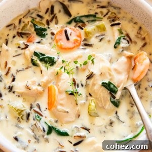 chicken wild rice soup in a creamy bowl with a spoon inside the bowl