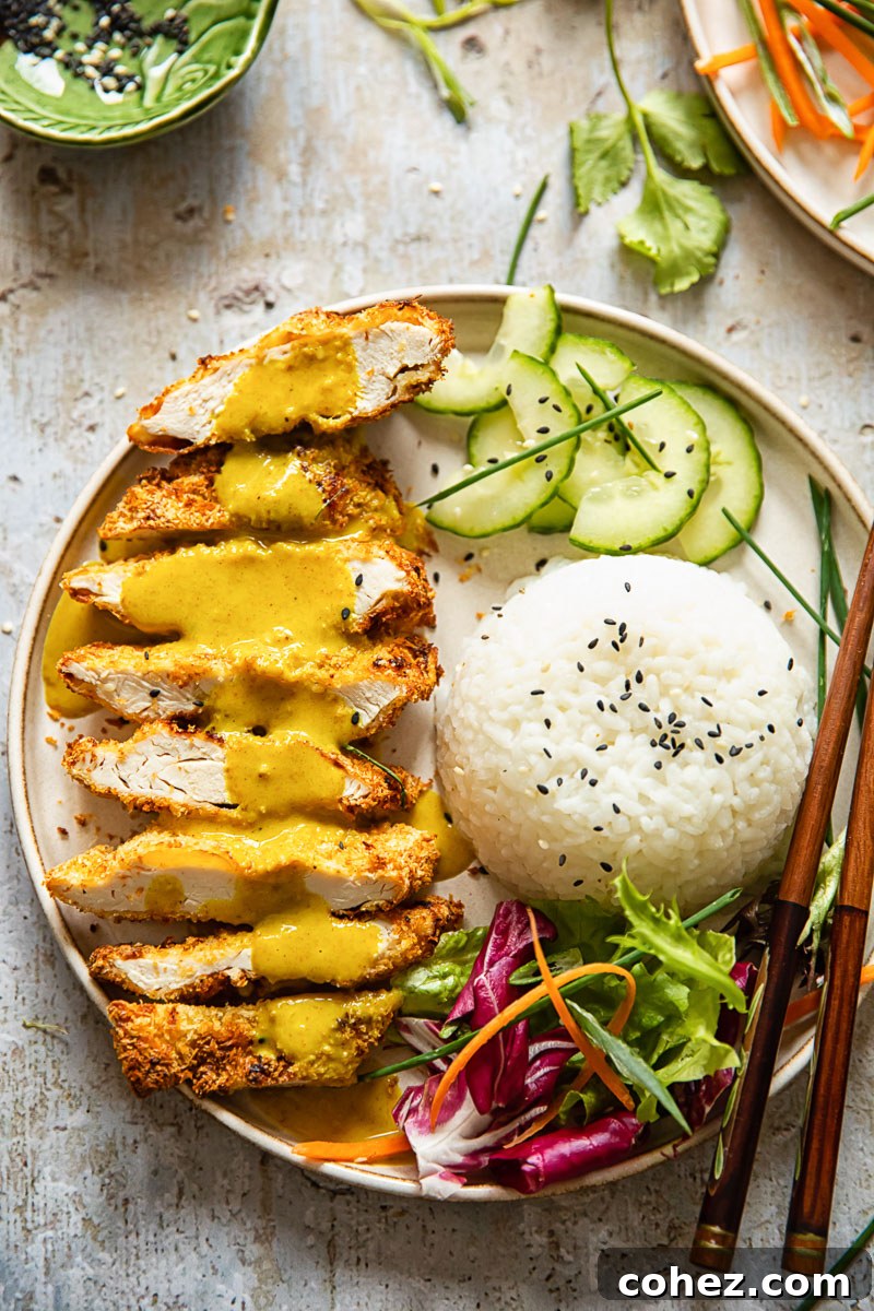 Crispy Air Fryer Chicken Katsu Curry 6 Top-down view of a serving of Chicken Katsu Curry with rice, cucumber, and salad