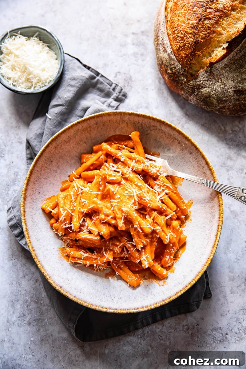 Velvet Vodka Pasta 5 A beautifully arranged top-down view of a generous bowl of pasta alla vodka, artfully garnished with fresh basil leaves and a dusting of grated Parmesan cheese, served alongside crusty bread and a small blue bowl of extra cheese.