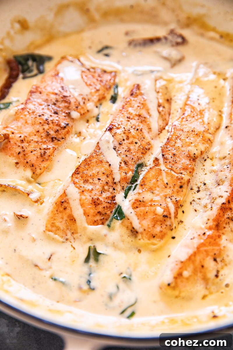 Tuscan Salmon with Velvety Parmesan Cream 4 salmon in cream sauce closeup