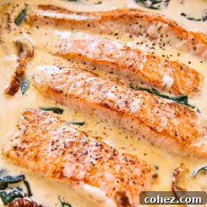 salmon in cream sauce with sun-dried tomatoes and spinach