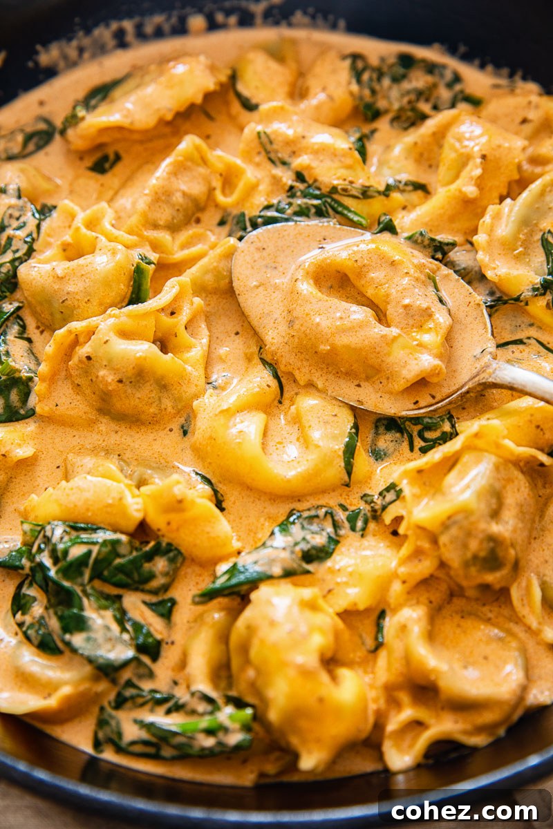 Velvety Tomato Cream Tortelloni with Fresh Spinach 2 tortelloni in a creamy tomato sauce with fresh spinach leaves