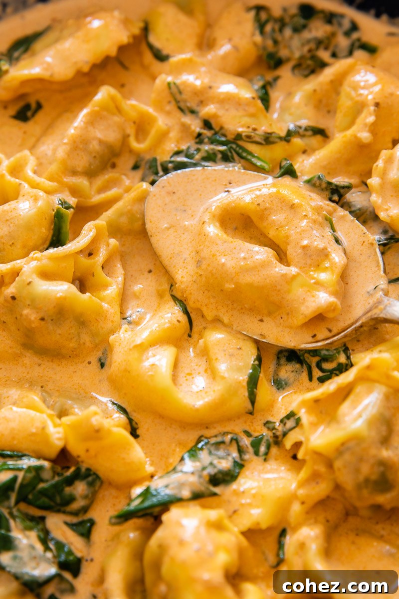 Velvety Tomato Cream Tortelloni with Fresh Spinach 3 close up of tortelloni pasta in a rich creamy tomato sauce with spinach