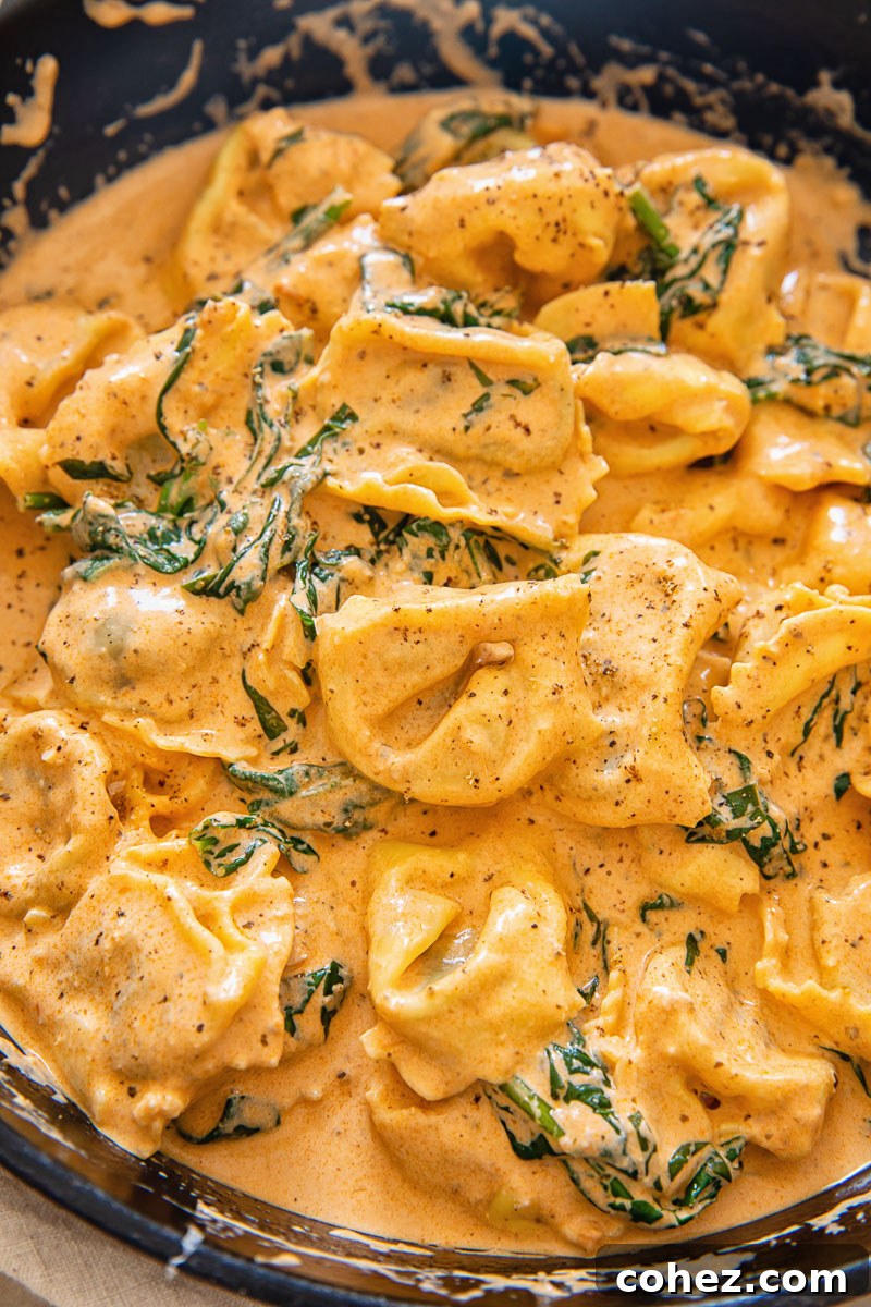 Velvety Tomato Cream Tortelloni with Fresh Spinach 5 tortelloni in creamy tomato sauce served in a cast iron pan, garnished with herbs