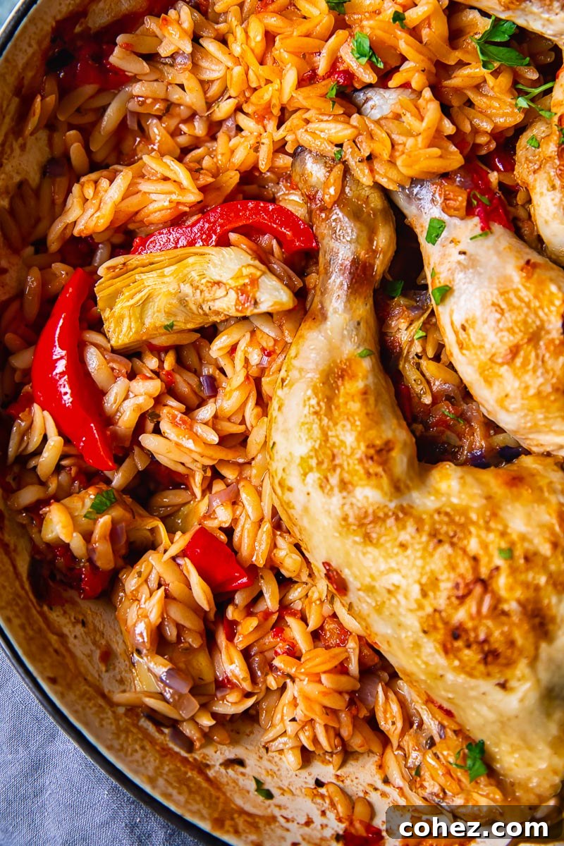 Greek Chicken and Orzo Skillet Dinner 5 Top-down view of the finished Greek chicken and orzo dish in the pan, garnished with fresh parsley.