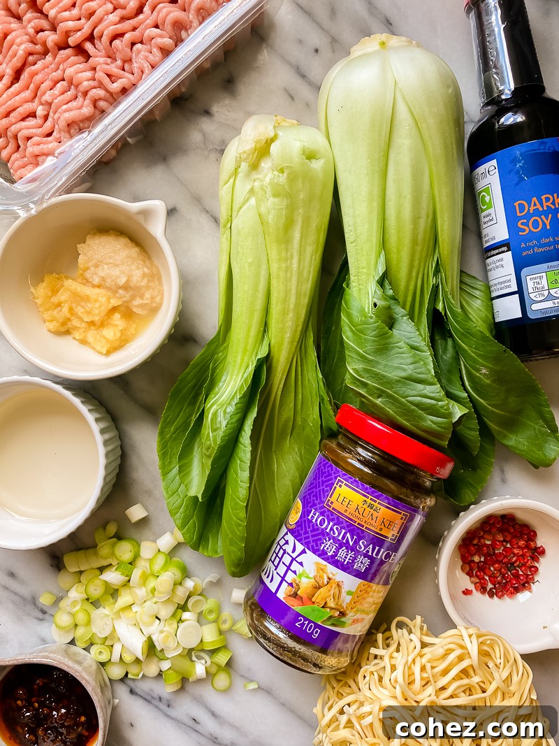 A flat lay of Dan Dan noodles recipe ingredients, including ground pork, bok choy, noodles, and various sauces