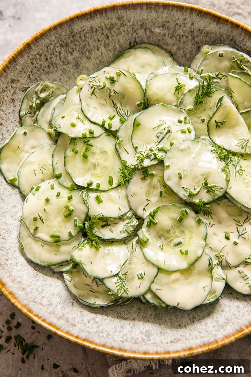 A beautifully presented bowl of creamy cucumber salad, garnished with fresh dill.