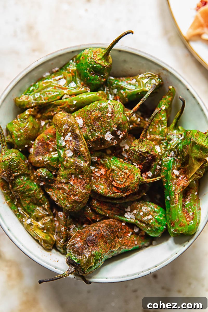 Top down view of perfectly cooked and blistered Padron peppers served in a rustic ceramic bowl.