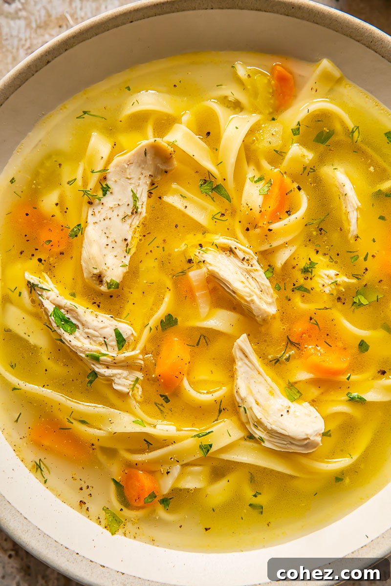 Soul-Warming Chicken Noodle Soup 4 A hearty bowl of homemade chicken noodle soup, filled with thick noodles, tender chicken chunks, carrots, and fresh herbs, ready to be enjoyed.