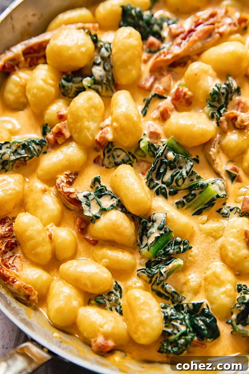Close up of creamy gnocchi pasta cooked with vibrant chorizo, fresh kale, and tender sun-dried tomatoes.