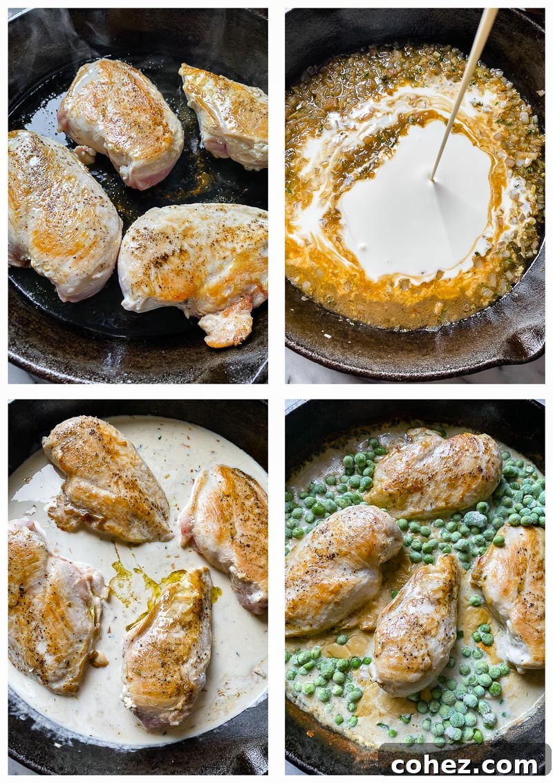 creamy chicken process images