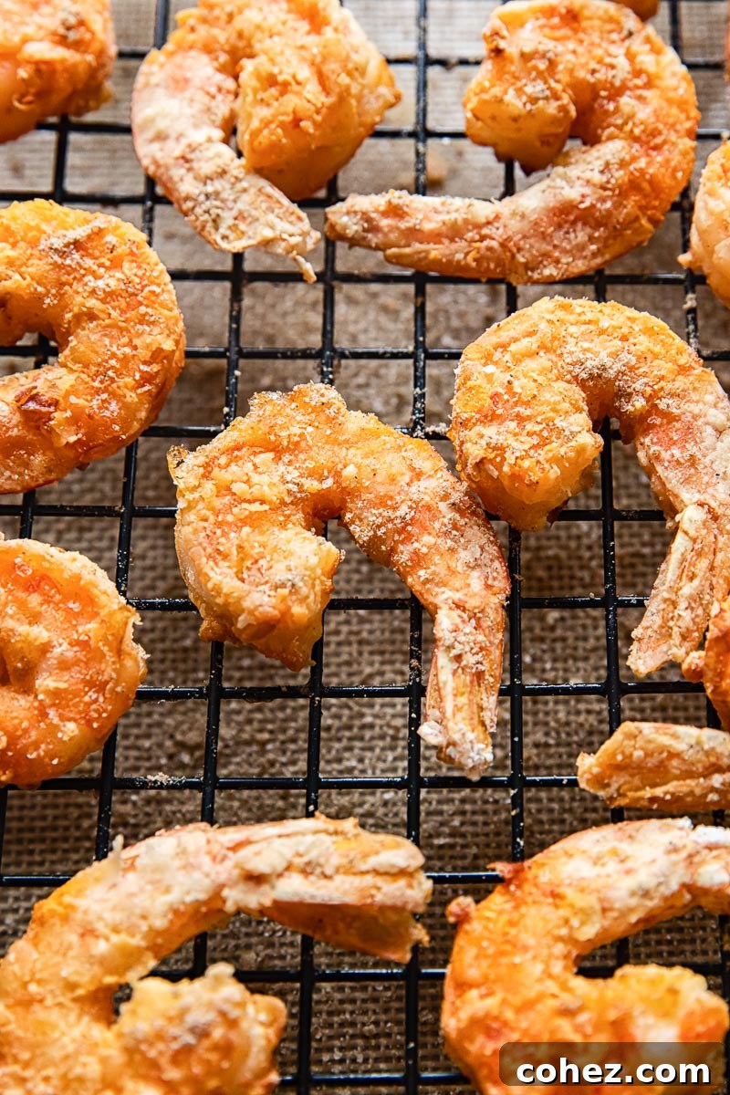 close up of fried shrimp/prawns