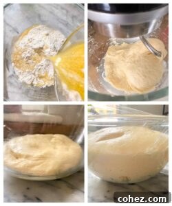 Maple Kissed Cream Cheese Cinnamon Buns 8 Nutella roll dough process image showing dough in a bowl