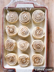 Decadent Cinnamon Buns with Maple Cream Cheese Frosting 9 unbaked cinnamon rolls in a pan