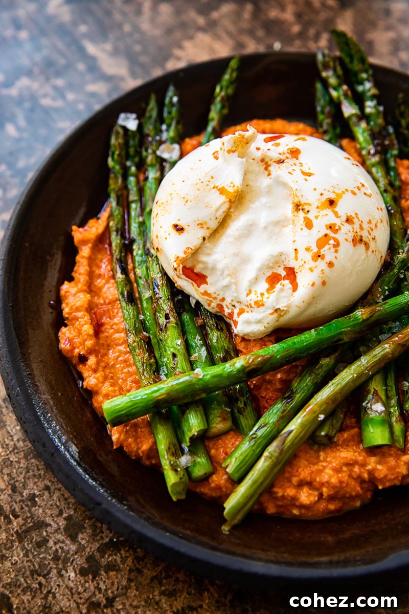 Close-up shot of perfectly grilled asparagus spears drizzled with Romesco sauce and a generous serving of burrata, ready to be enjoyed