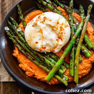 Top-down view of grilled asparagus on a bed of Romesco sauce with a dollop of burrata cheese on a rustic brown plate