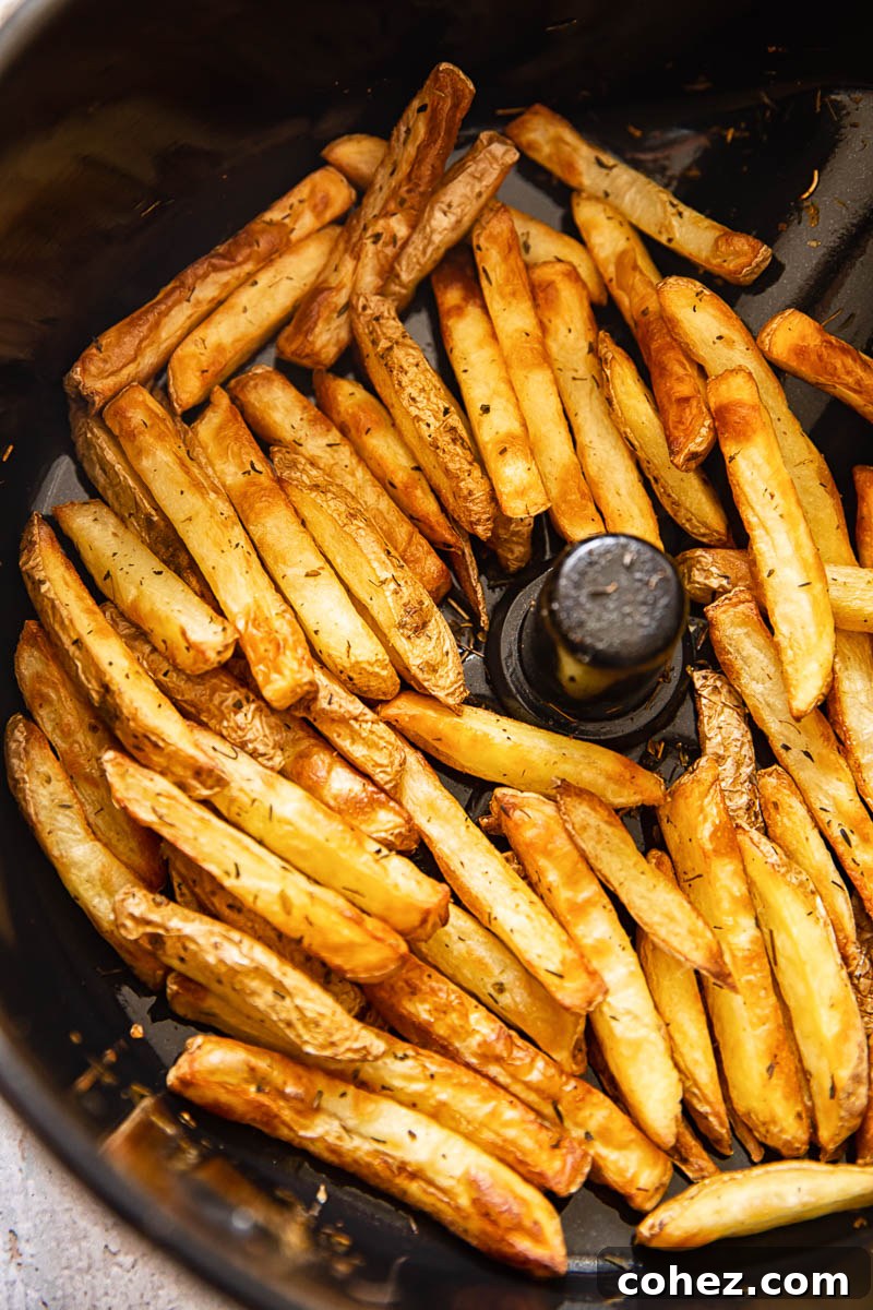 air fryer potato fries