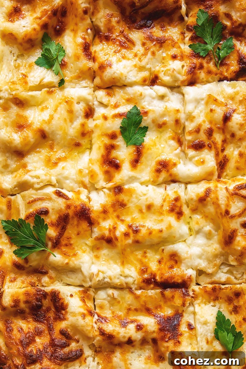 Top-down view of a pan of white chicken lasagna, perfectly cut into squares, ready to be served, highlighting its organized layers.