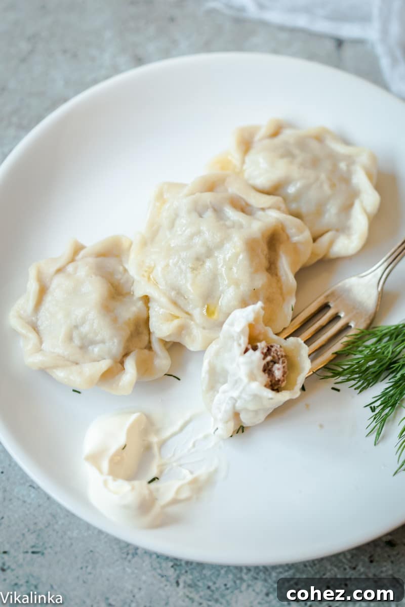 Close-up view of freshly cooked pelmeni dumplings arranged on a plate, ready to be served.