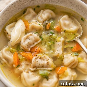An appetizing image of Pelmeni Dumpling Soup showing dumplings and vegetables in a bowl with a spoon.