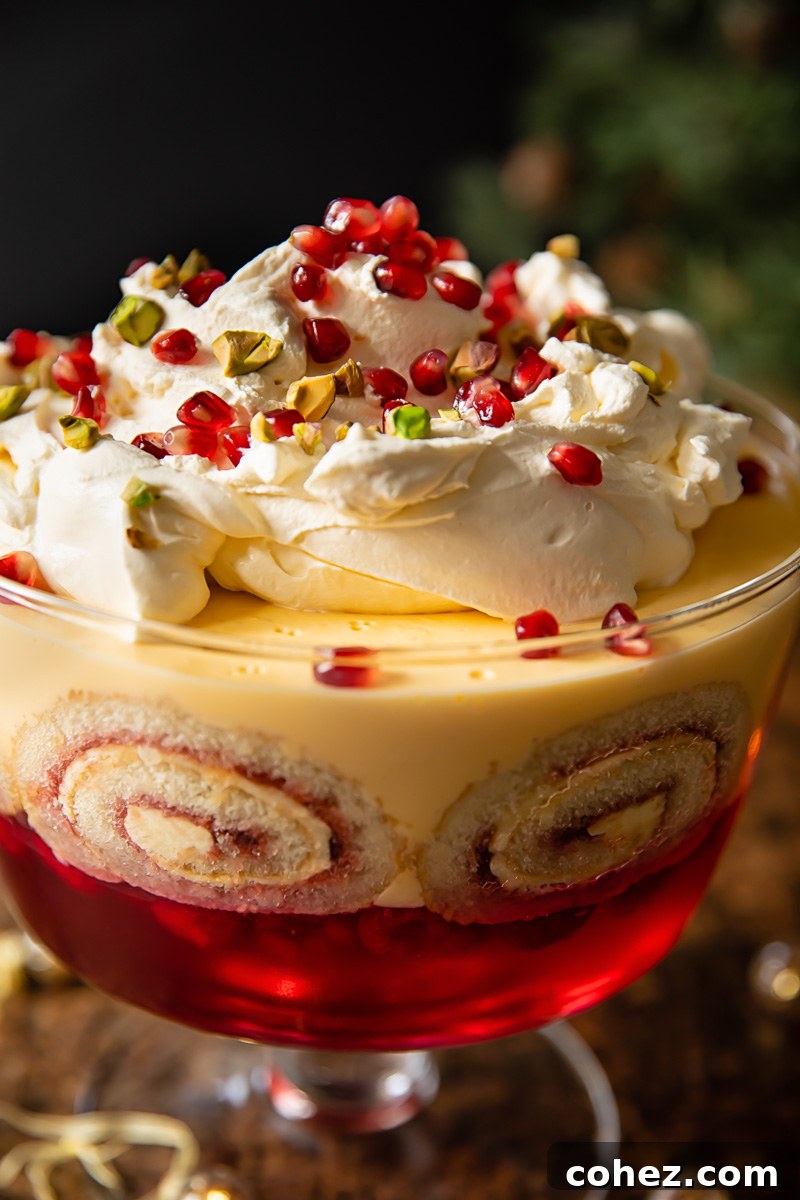 berry trifle close up