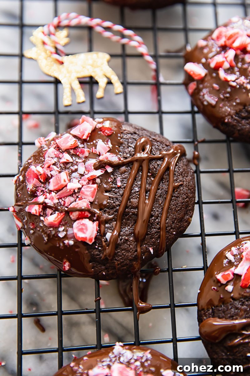 close up of a single chocolate candy cane cookie, highlighting the details of the chocolate dip and crushed peppermint