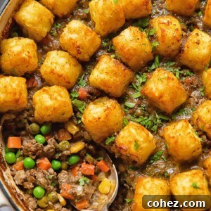 A close-up of the finished homemade Tater Tot Casserole, showcasing its golden-brown, crispy tater tot topping and creamy filling.