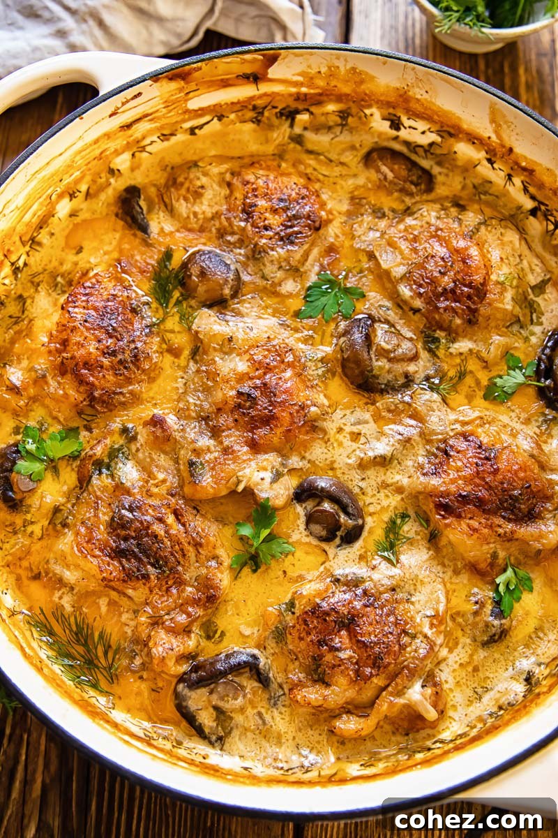 Top down view of chicken and mushrooms in a creamy sour cream sauce, served in a round cast iron pan.