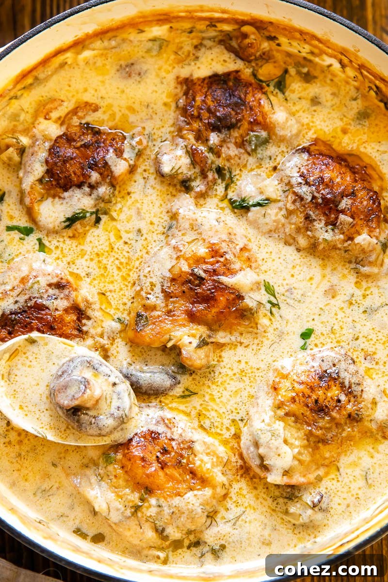 Close-up shot of fork-tender braised chicken in a luscious cream sauce, with visible mushrooms and herbs.