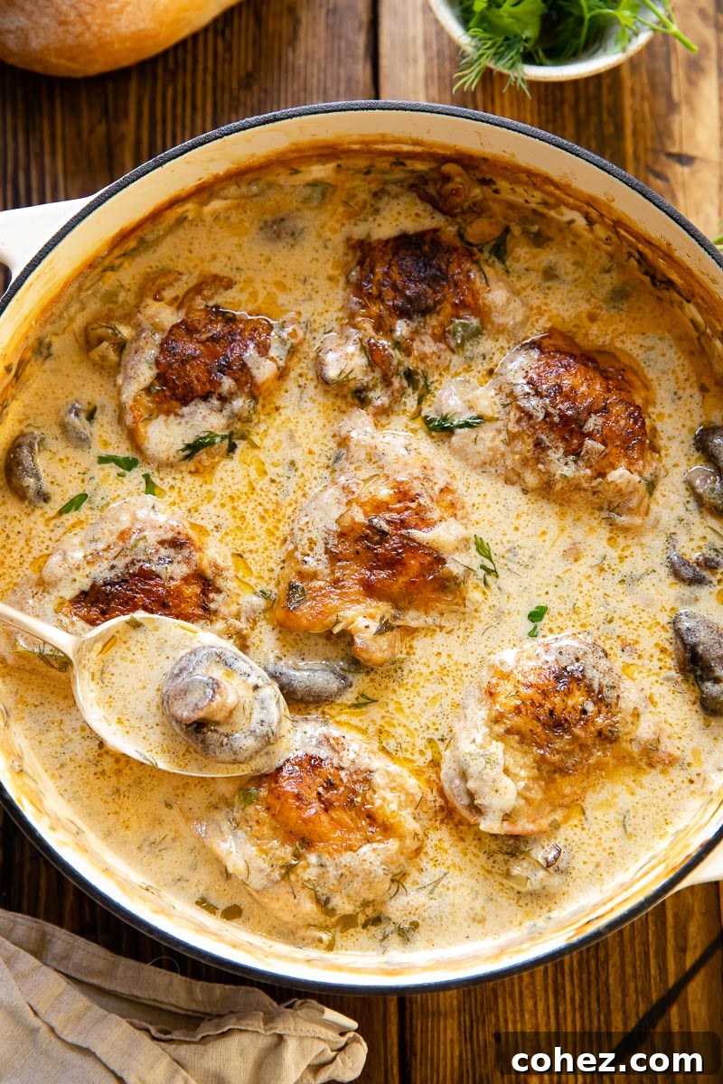 A serving spoon lifting a piece of braised chicken and mushrooms from the pan, highlighting the creamy sauce.