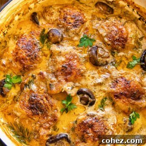 Top down view of chicken and mushrooms in a creamy sour cream sauce, served in a round cast iron pan.