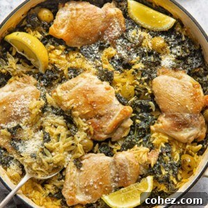 top down view of a round pan with lemon chicken and orzo bake