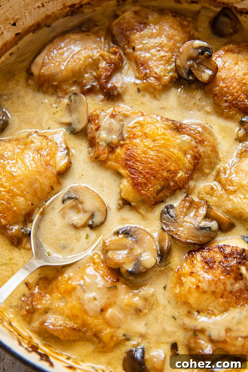 Close up of a spoon scooping creamy chicken fricassee with mushrooms from a pan