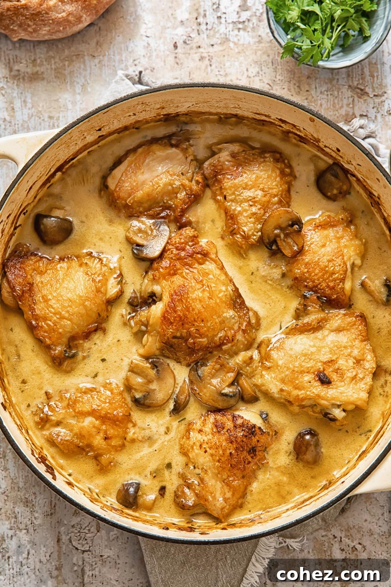 Top down view of chicken fricassee being stirred in a white pan, showing the creamy sauce