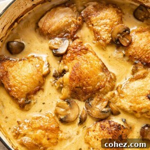 Top down view of chicken fricassee with mushrooms in a dish