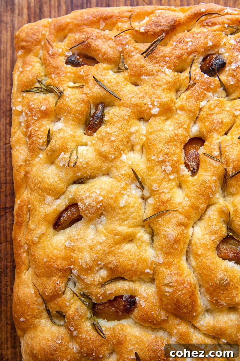 top down view of focaccia with garlic confit embedded into the bread.
