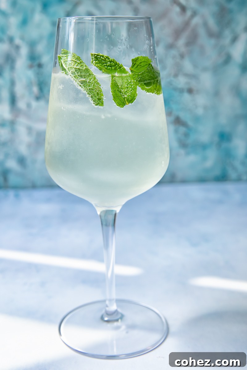 Side shot of mojito spritz in a glass with mint leaves