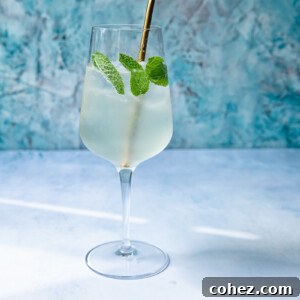 Side shot of Mojito spritz in a glass with a straw and mint.