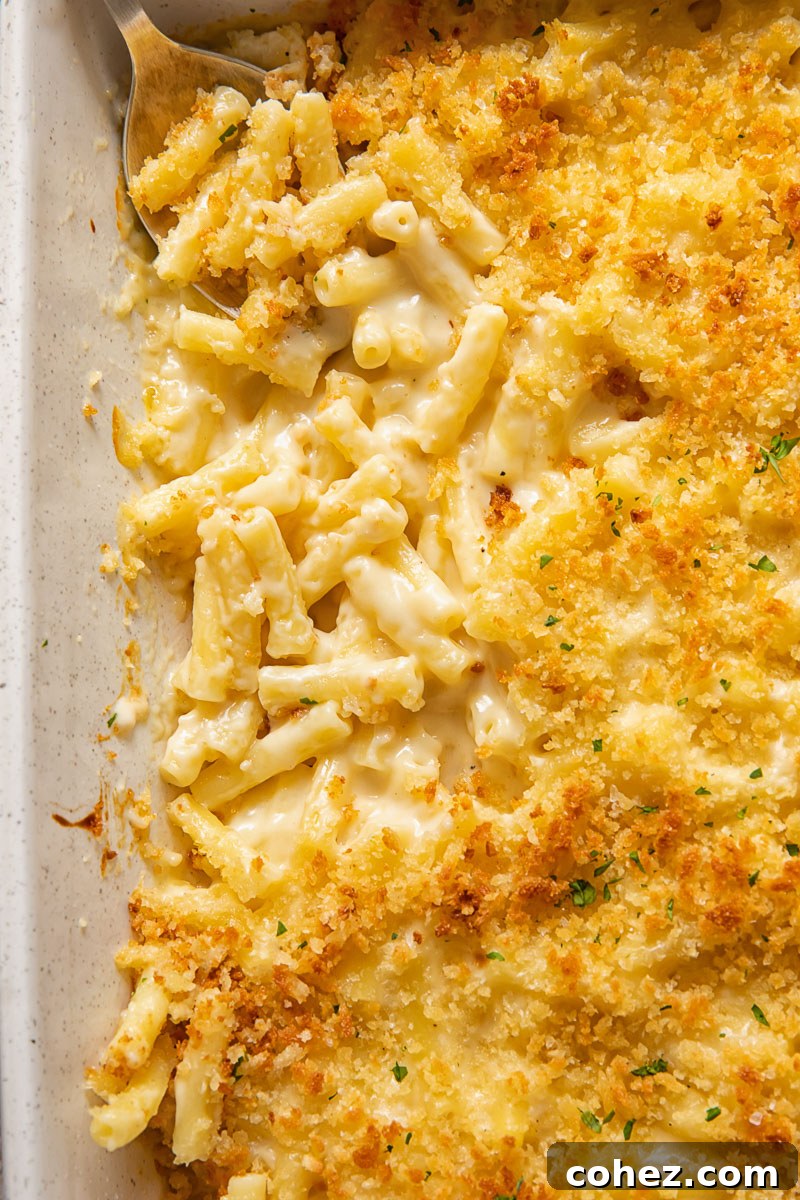 Gourmet truffle mac and cheese with a golden, crisp breadcrumb topping, served warm in a ceramic baking dish